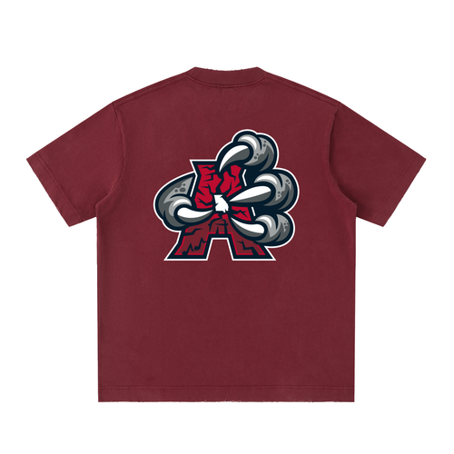 Alt AC Wordmark Heavyweight Vintage Washed Tee