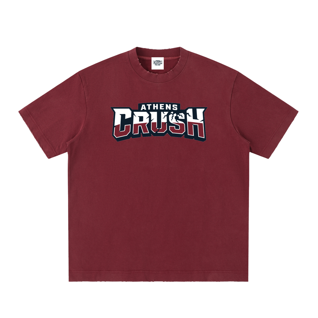 Alt AC Wordmark Heavyweight Vintage Washed Tee