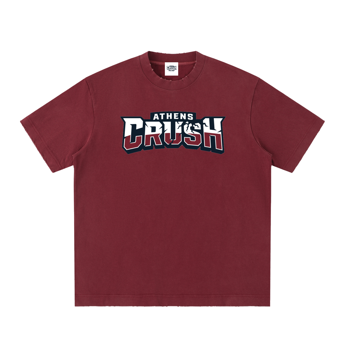 Alt AC Wordmark Heavyweight Vintage Washed Tee
